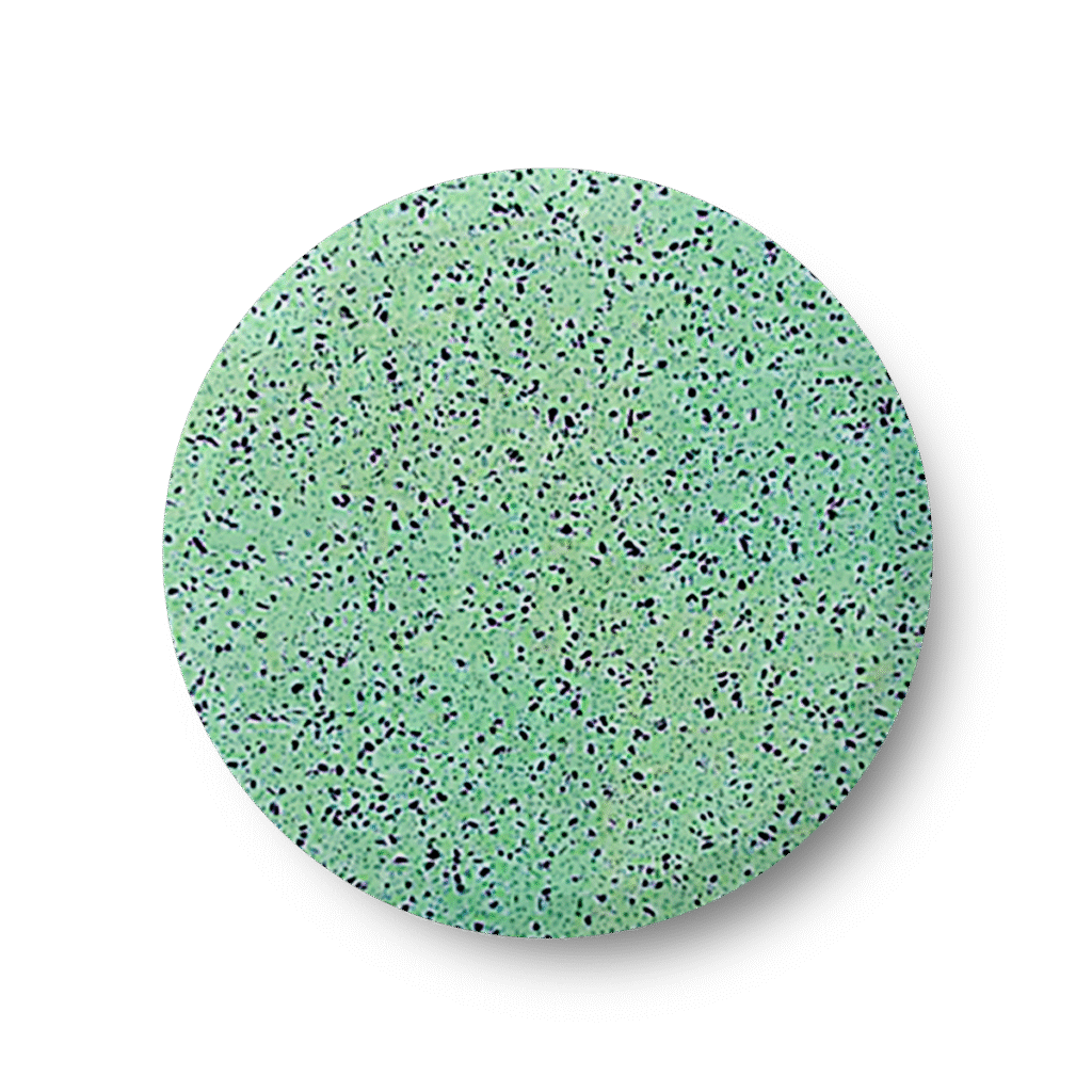 Hidrocoat Verde Iguazú
